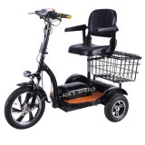 500W High Speed Motor Tricycle with Disk Brake (ES-048A)