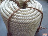 PP Danline Rope From Factory