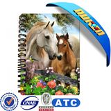 High Quality Personalized Spiral Notebooks with 3D Cover