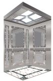 Stainless Steel Passenger Elevator (DAIS000-5)