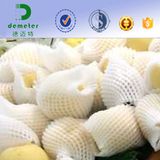 Free Design Hot Sale Apples Packaging Foam Net