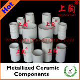 Metallized Ceramic Components