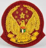 Badges Ranks Police Military Army