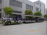 Amazing Amusement Park Tourist Electric Trains (RSG-442Y-1)