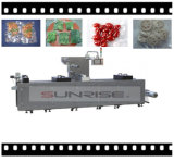 Automatic Fruit and Vegetable Vacuum Packing Machine (DLZ-320)