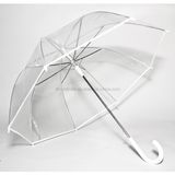 Fashion Straight Transparent Umbrella for Promotional Umbrella