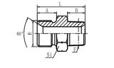 Hydraulic Fitting (1BT SP)