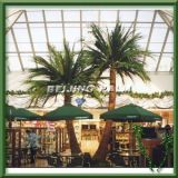 Artificial Date Palm Tree for Shopping Mall (DP-01)