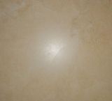 Flooring Tile 500x500mm (5010)