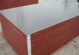 Poplar Core Laminated Shuttering Formwork Film Faced Plywood