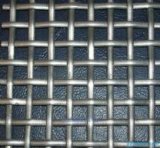Square Wire Netting (LY-C63)