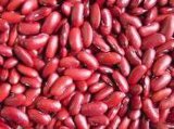 Red Kidney Beans (009)