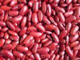 Red Kidney Beans (009)