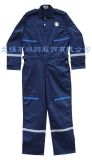 Coverall (LTF-1302D)