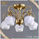Ceiling Lighting for Hoem Modern Decoration Chandelier Light (MX1218074)