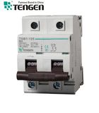 Tgb1-125 2p 6ka Circuit Breaker