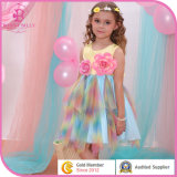 Wholesale Baby Girl Flower Dress, Fashion Design Children Clothing
