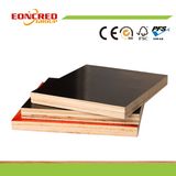 Marine Plywood, Film Faced Plywood for Construction
