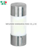 22X58 Cylider Cap Fuse Ar Porcelain Type (10A, 16A, 20A, 25A, 32A, 40A, 50A, 63A, 80A, 100A, 125A)