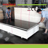 Black Film Faced Concrete Plywood /Finger Joint Plywood