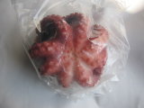 Cooked Whole Octopus Vulgare