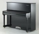 Musical Instrument T1-118 Schumann