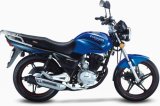 Good Quality 150cc Motorcycle Blue