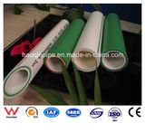 Several PPR Pipe for Water Supply
