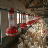 Integrated Chain-Disc Breeder Feeder for Poultry Housing