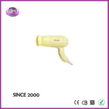 Salon Use Can You Blow Dry Dry Hair