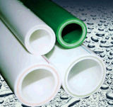 Plastic Tube PPR Pipe for Water Supply