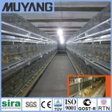 H-Type Poultry Cage Raising Equipment