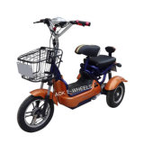 500W Motor Tricycle with LED Lights and Basket (TC-013)