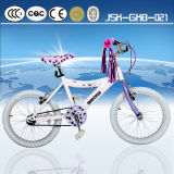 King Cycle Kids Dirt Bike for Girl From China Manufacturer