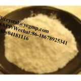 Megestrol Acetate with 99% Purity Pharmaceutical Intermediates