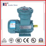 AC Electric Motors 0.75kw Explosion Proof Three-Phase Motor