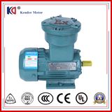 AC Electric Motors 0.75kw Explosion Proof Three-Phase Motor