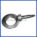 SUV Bevel Gear in Rear Axle Differential (ratio: 9/38; 9/41; Gear grinding)