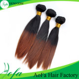 100% Human Hair Ombre Hair From Guangdong