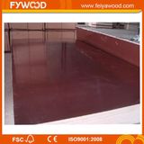 Wood Veneer Film Faced Plywood for Sale