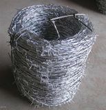 Galvanized Barbed Wire