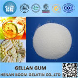 High Purity Stong Gelly Strength Gellan Gum Hot Selling