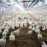 High Quality Automatic Poultry Breeding Equipment