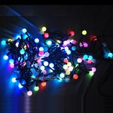 LED Christmas Decoration Accessories Lighting (LDSB M10P3)