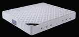 Latex Mattress for Bedroom Furniture (B305)