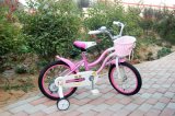 Baby Bicycle/Child Bike/Children Bicycle (AFT-CB-303)