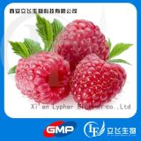 SGS Certificate Manufacturer Supply Nature Raspberry Ketone