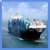 Ocean Shipping & Storage From Guangzhou to USA