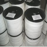 Polyester High Tenacity Rope (3---20mm)