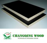 HPL Plywood (LH901)
